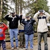 A group of people look through binoculars