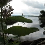 View from the Driftless