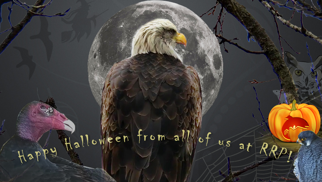October 31, 2021: Happy Halloween!