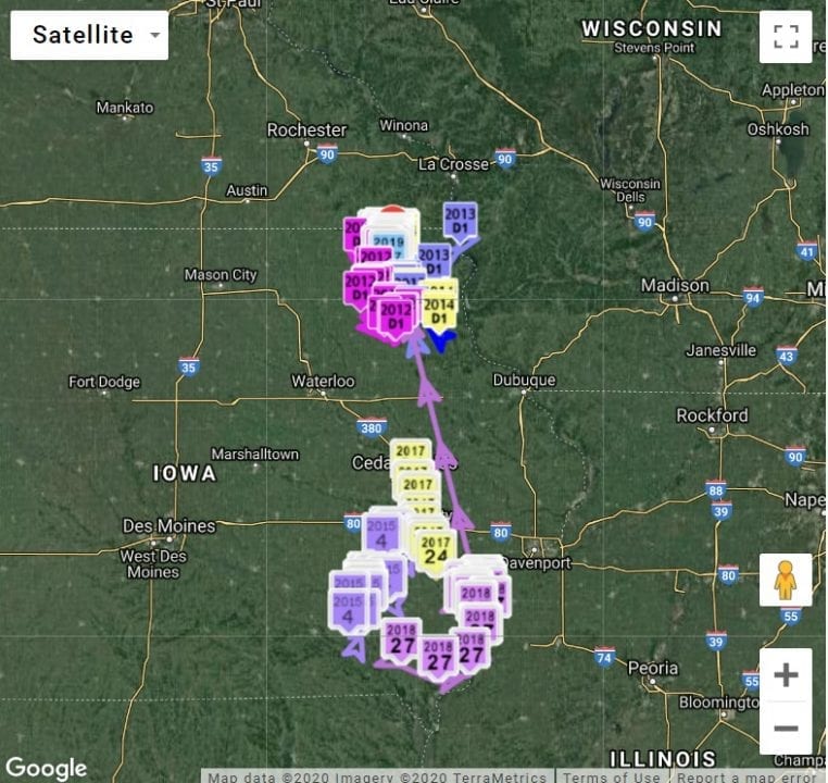 Total range of wintering bald eagles we've tracked