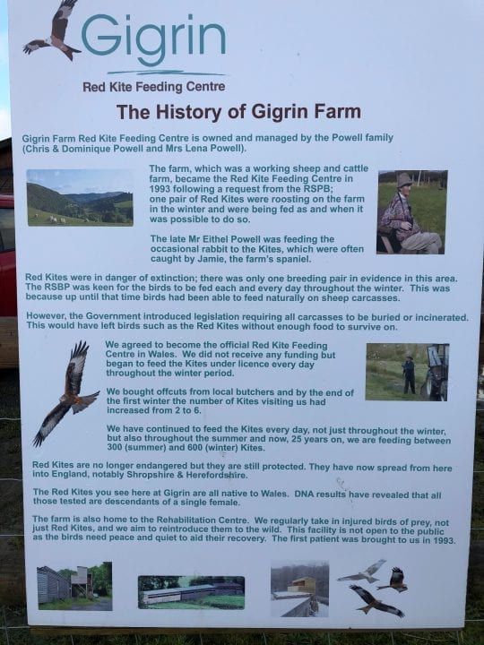 Gigrin Farms: History