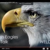 Decorah Eagles Ed Talk