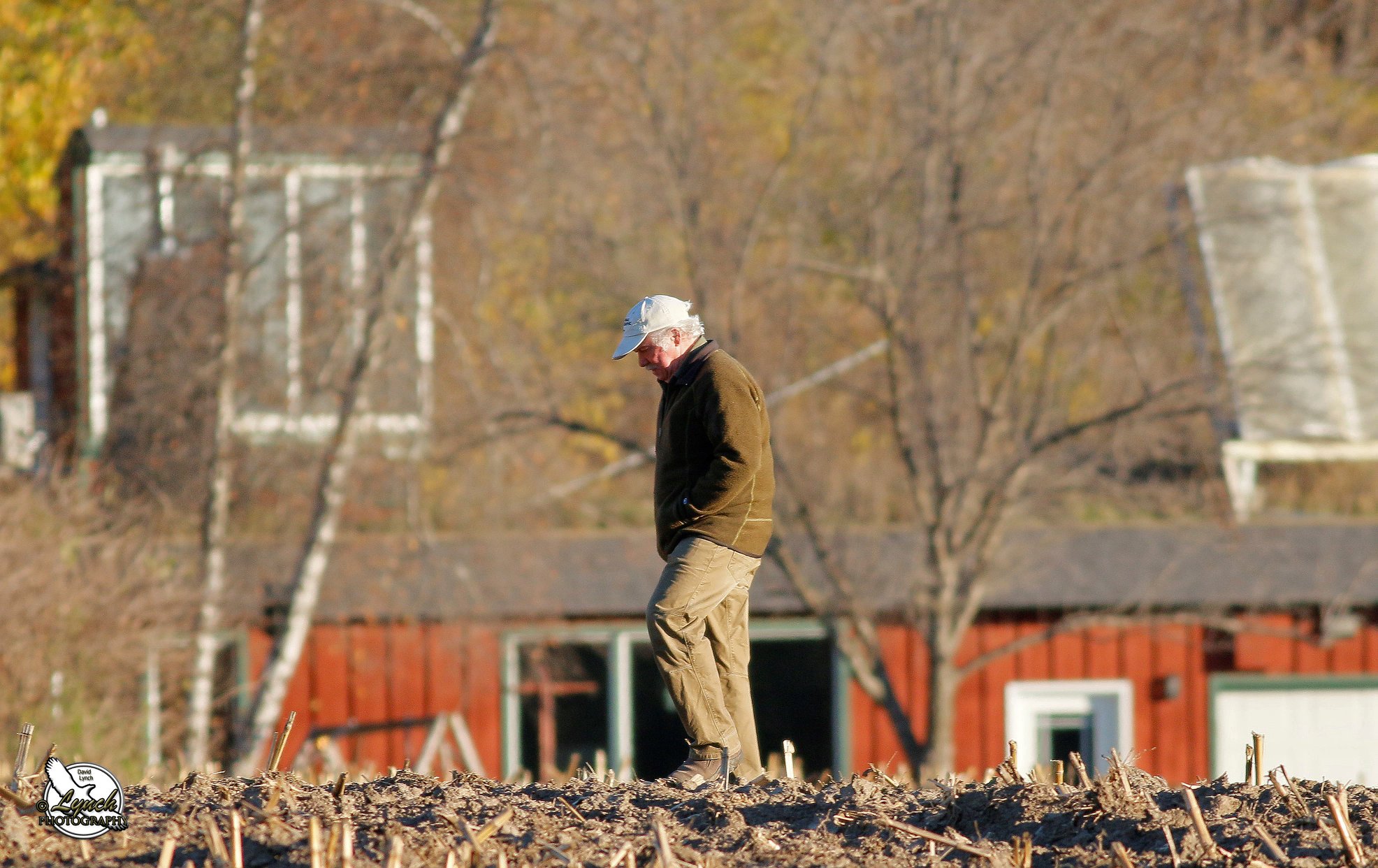 Photo of Bob Anderson in 2014. Taken by David Lynch and used with his permission.