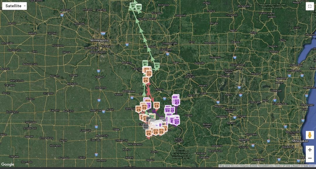 Tracked Decorah Fledglings in August, all years