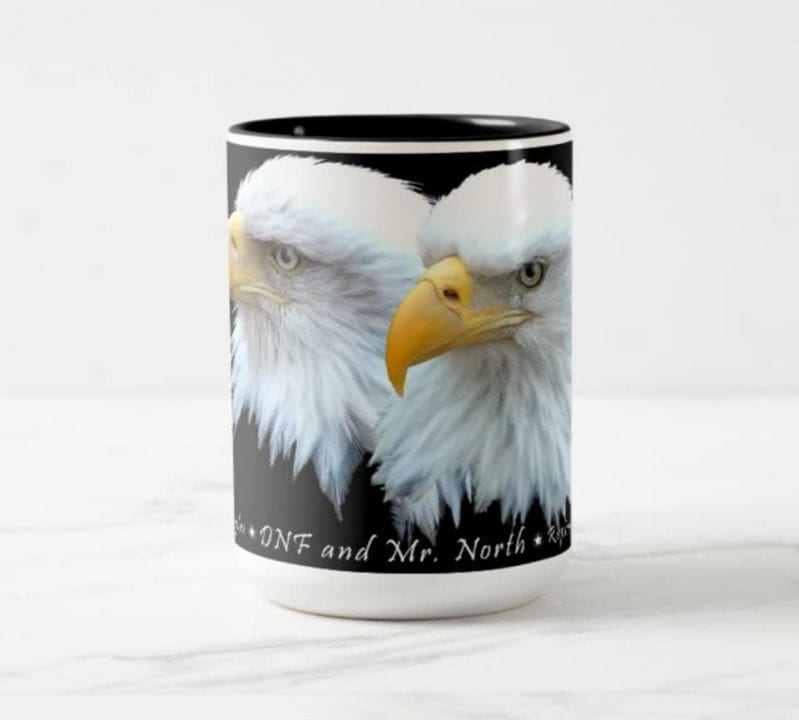 Decorah North Eagles Mug