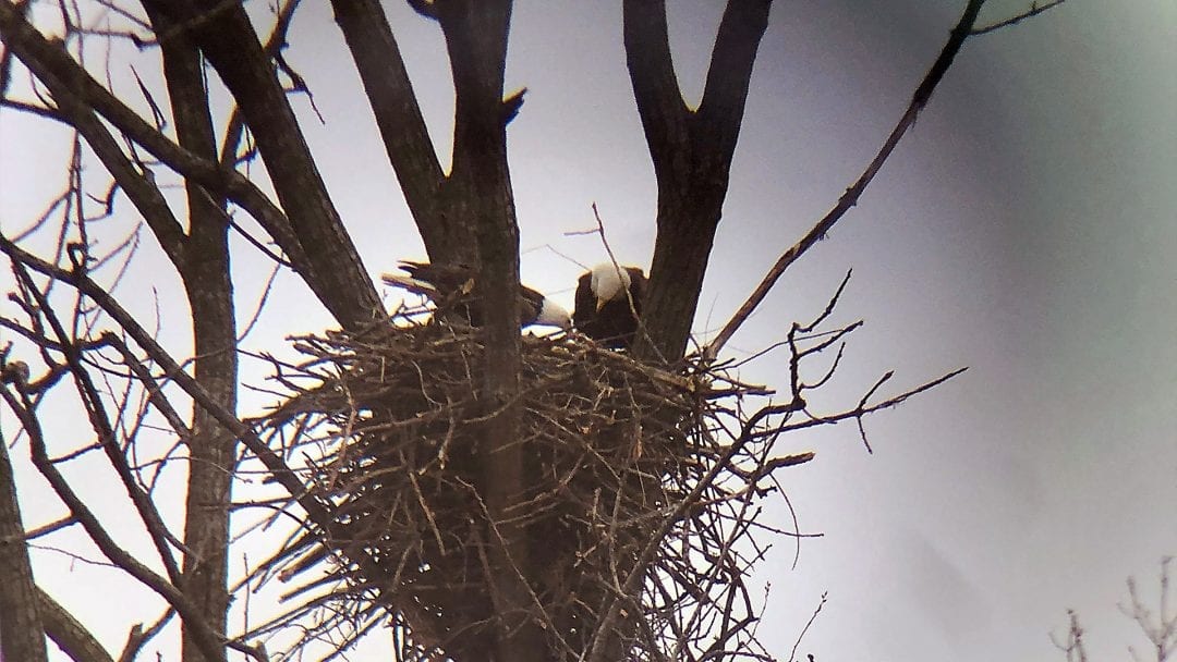 Does this look familiar? Mom still rules the roost!