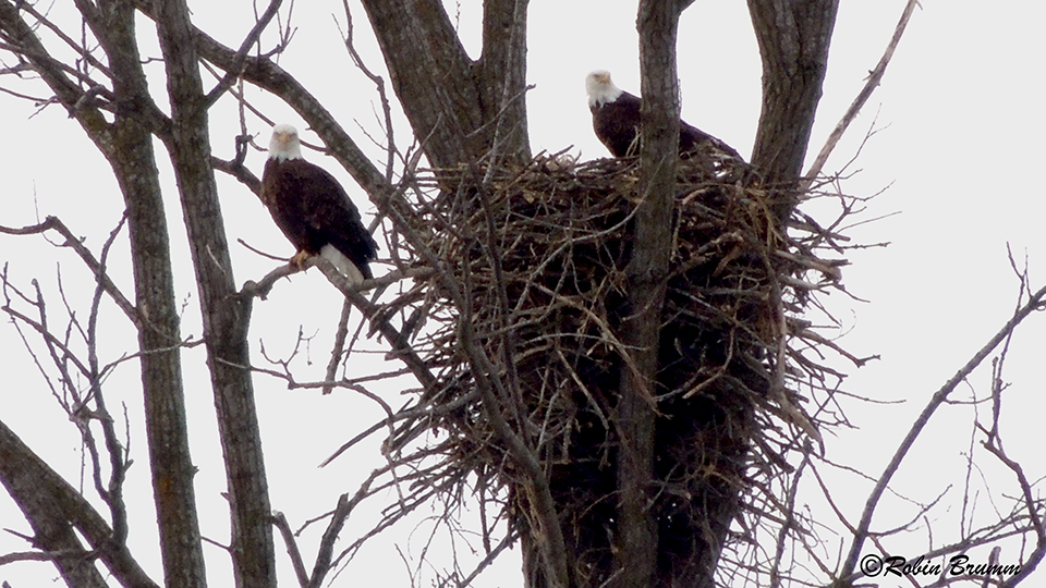 February 26, 2021: Mom and DM2 at N3
