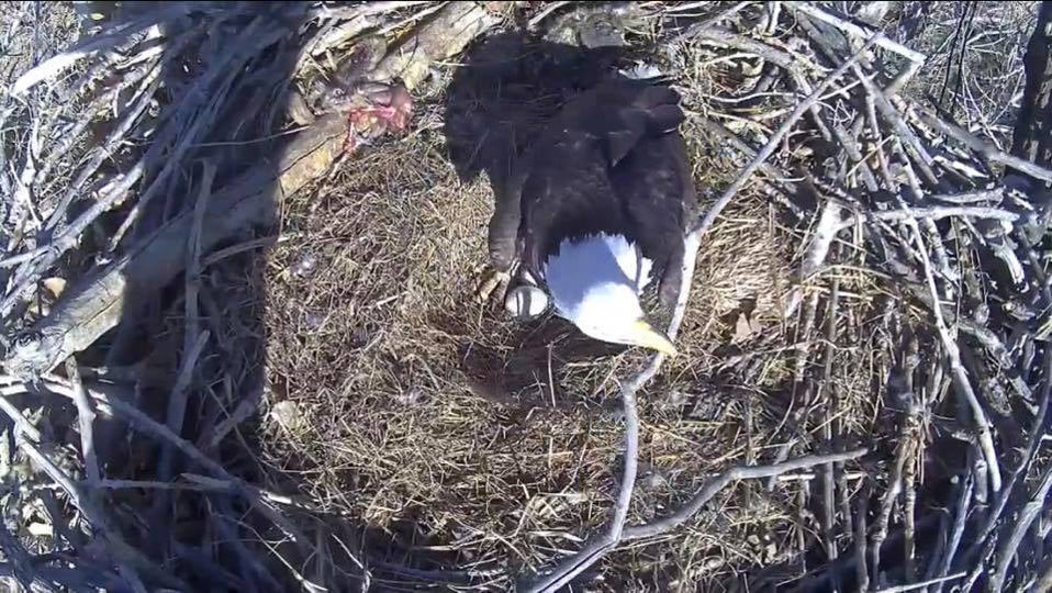 A view from the Fort St. Vrain top cam