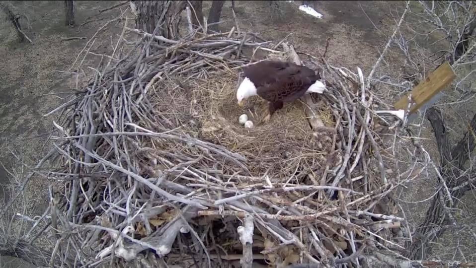 A view from the Fort St. Vrain side cam
