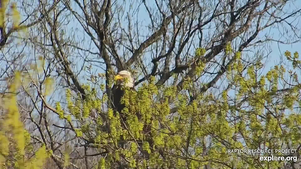 April 29, 2021: Mom at the hatchery!