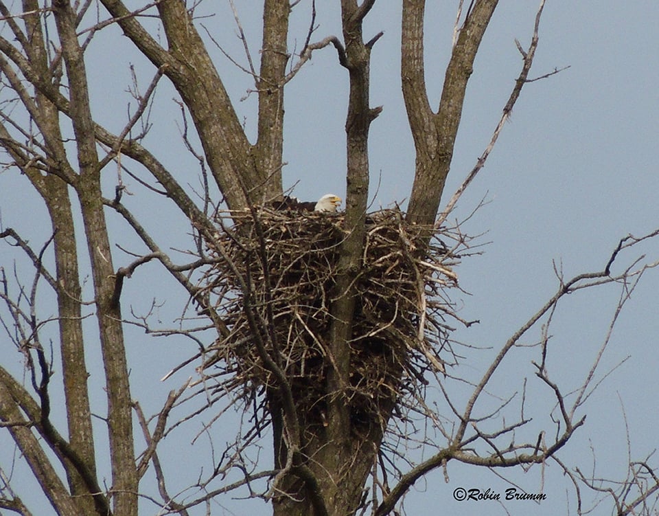 April 5, 2021: Mom on N3