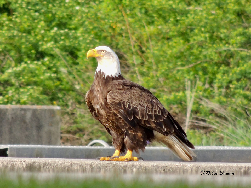 May 2021: Mom at the Hatchery