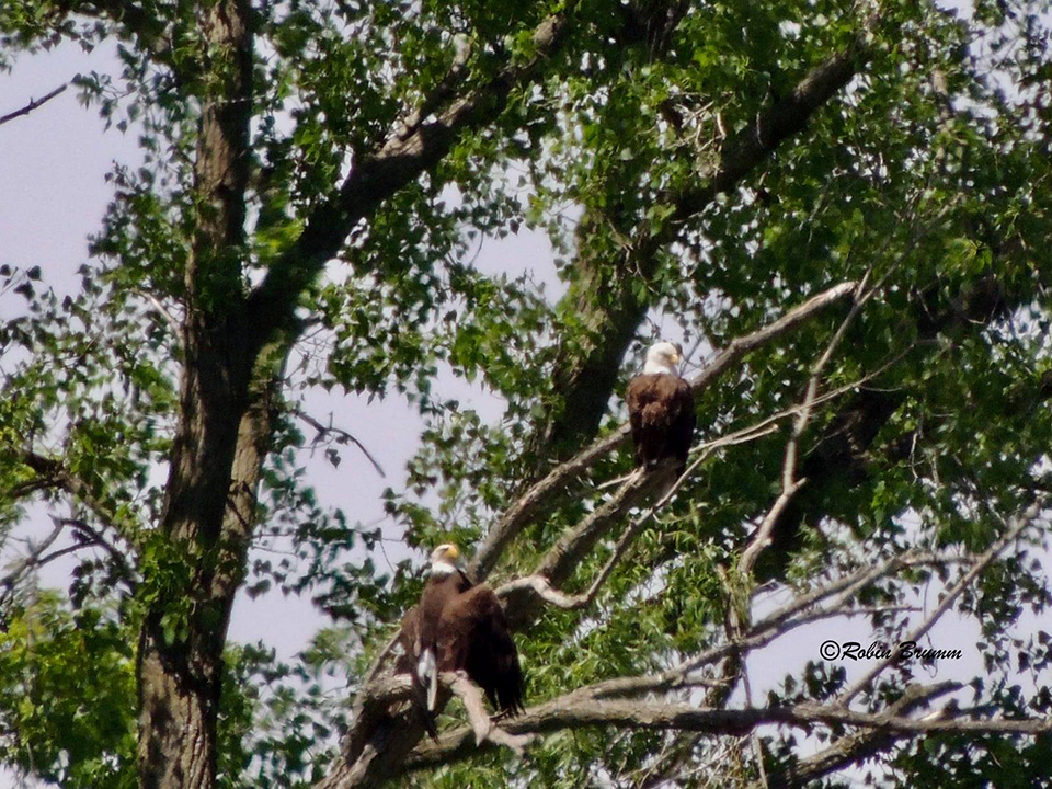 May 2021: Mom and DM2