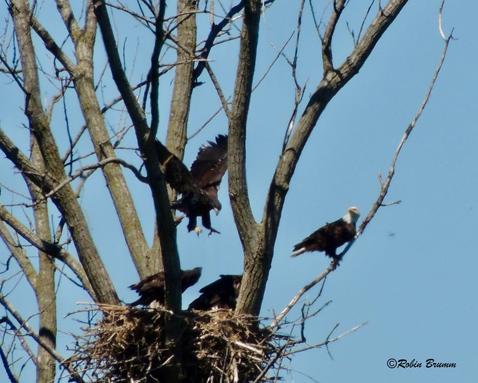 Saturday, June 19: Hovering