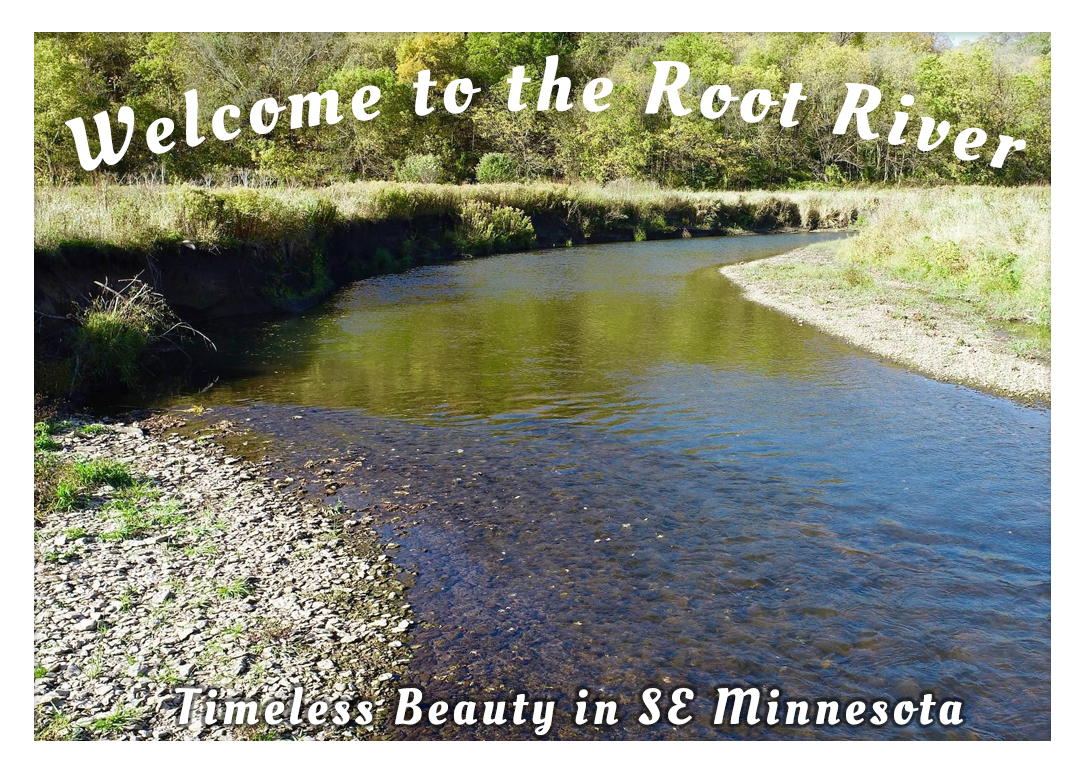 D36 isn't the only one wandering the Root water trail. This stunning area of Minnesota is just a little bit north of Decorah, Iowa