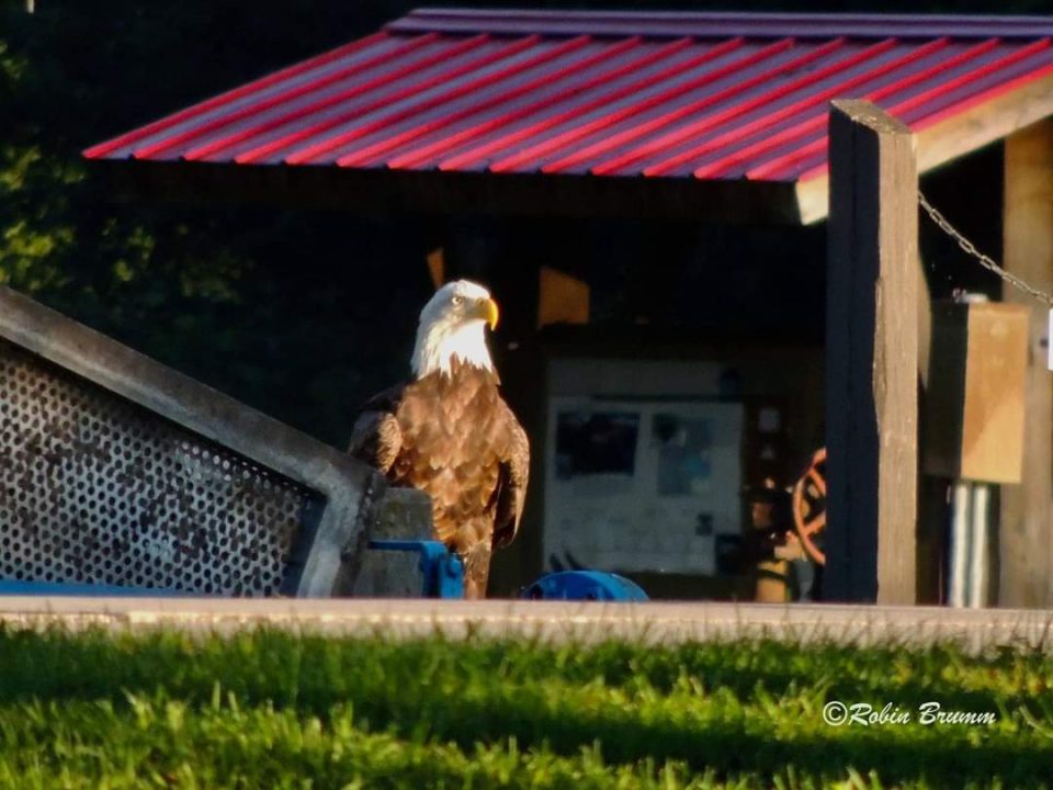 Mom at the hatchery