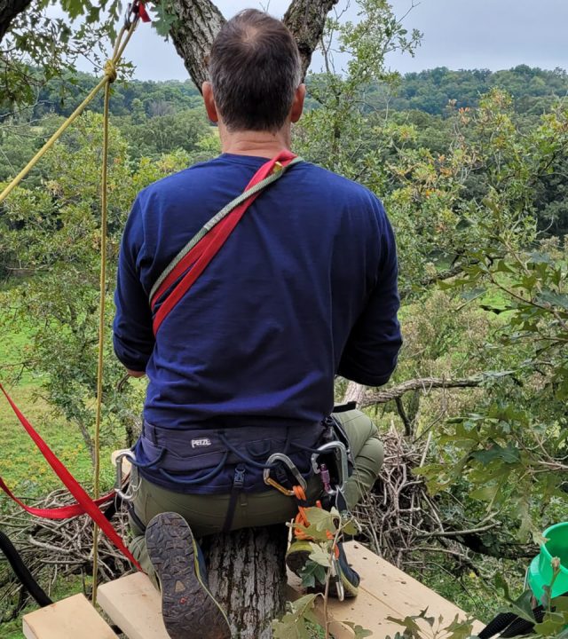 Kike working on one of the North Nest cameras