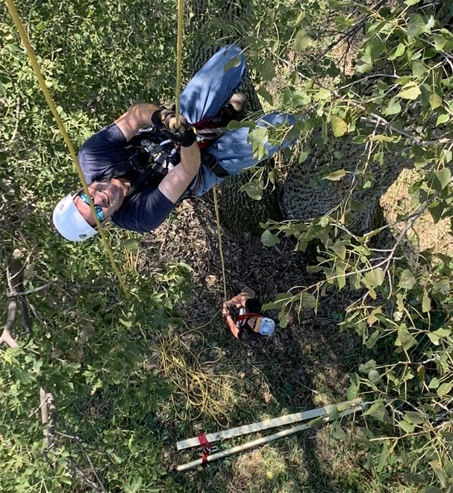 September 19, 2021: Another picture of John! You can see Amy below him. She is weighting the rope to help it feed through the ascenders smoothly.