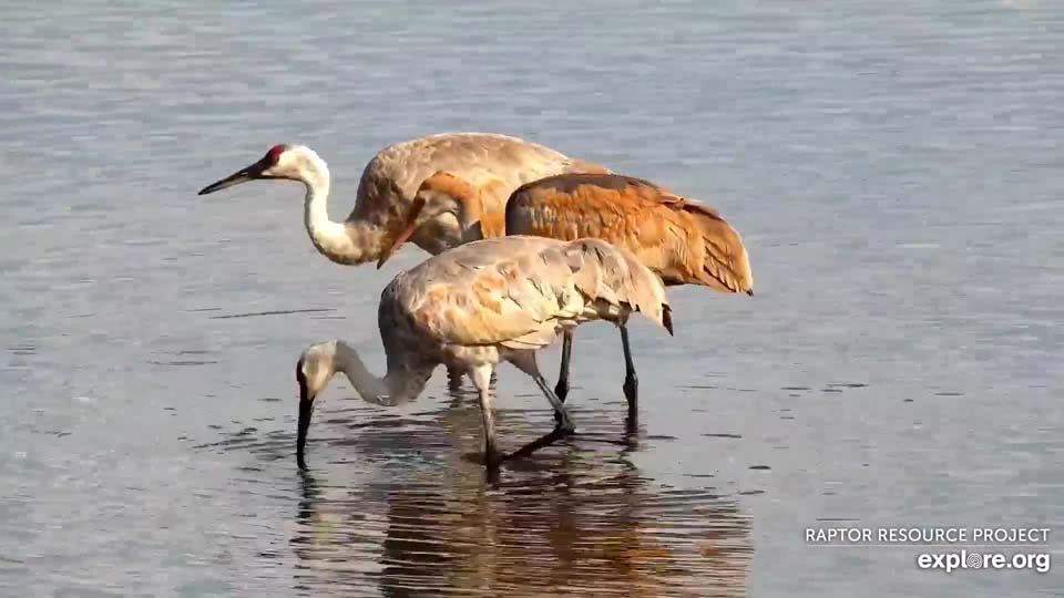 October 20, 2021: Crane family