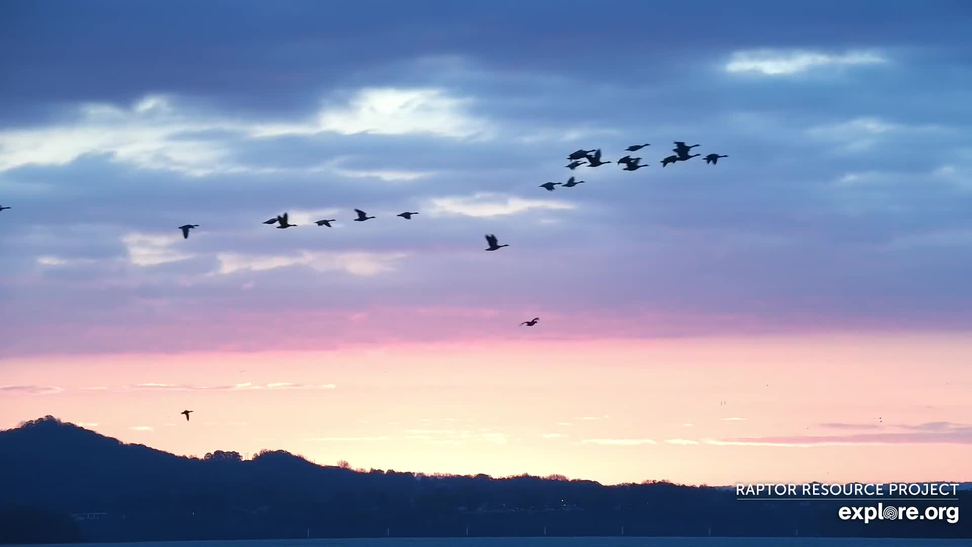 November 5, 2021: Morning on the Flyway