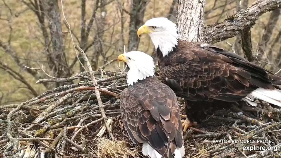 November 18, 2021: Mr. North (left) and DNF (right).