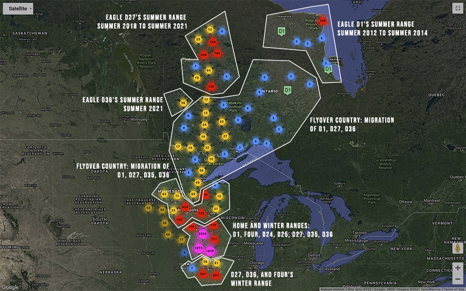 Eagle cluster map: D1, D14, Four, D24, D25, D35, and D36