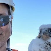 John Howe and friend on Xcel Energy's Monticello stack in Monticello, MN.