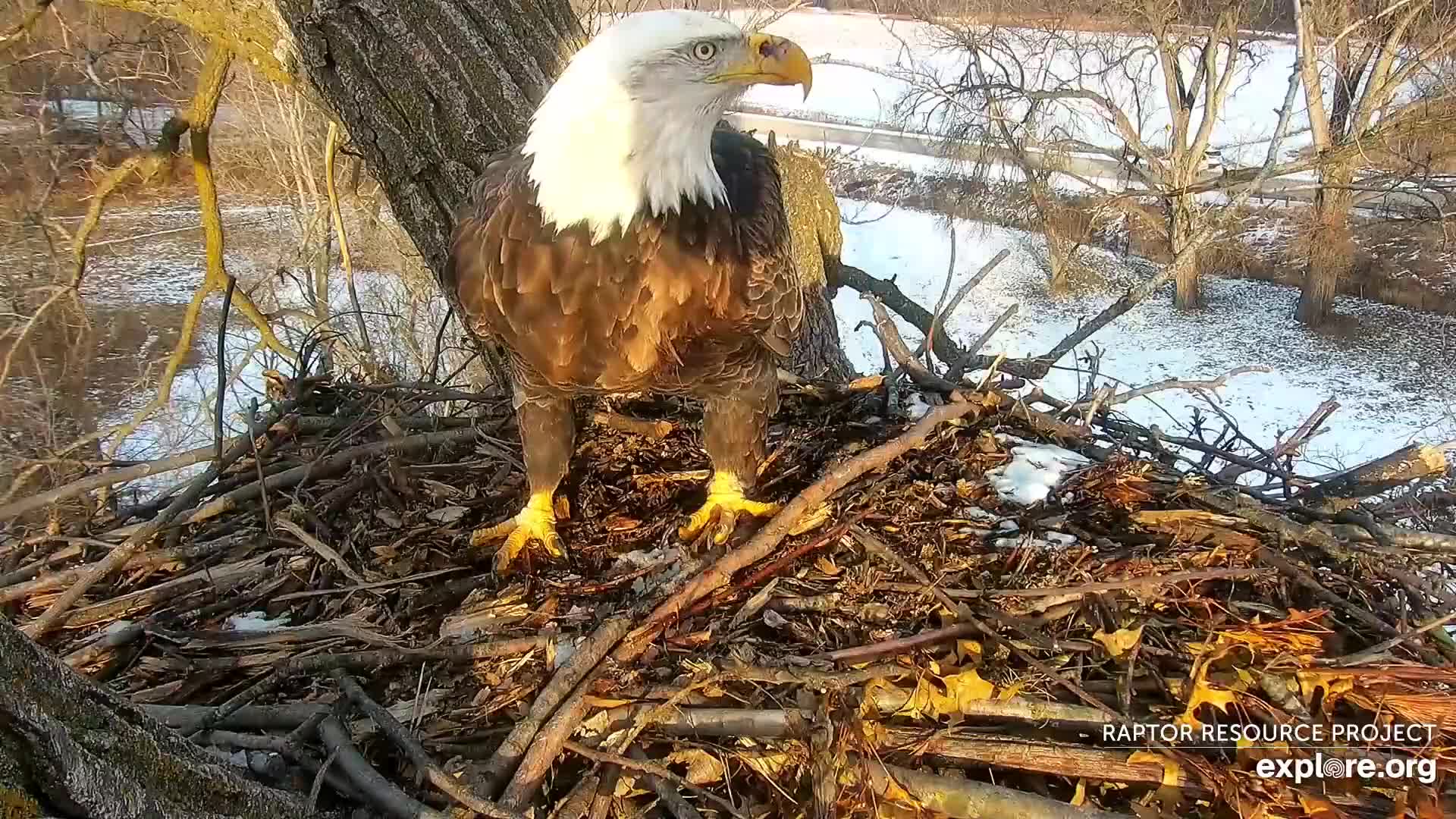 December 12, 2021: Hello Mom! Mom Decorah stops by N1 for a quick pick-me-up.