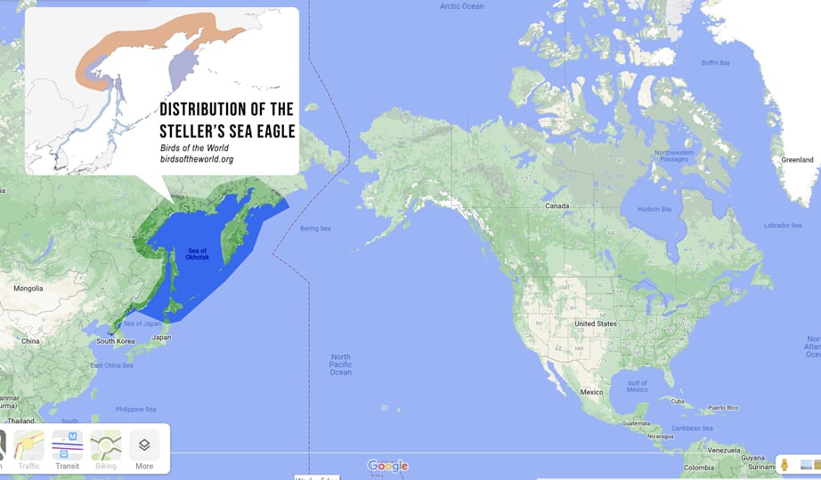 Distribution of the Steller's Sea Eagle. See resources section for link.