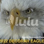 Image for 2022 Decorah Eagles Calendar