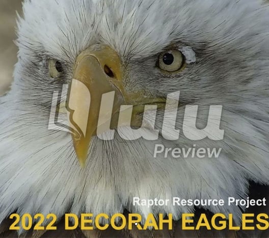 Decorah Eagles Calendar