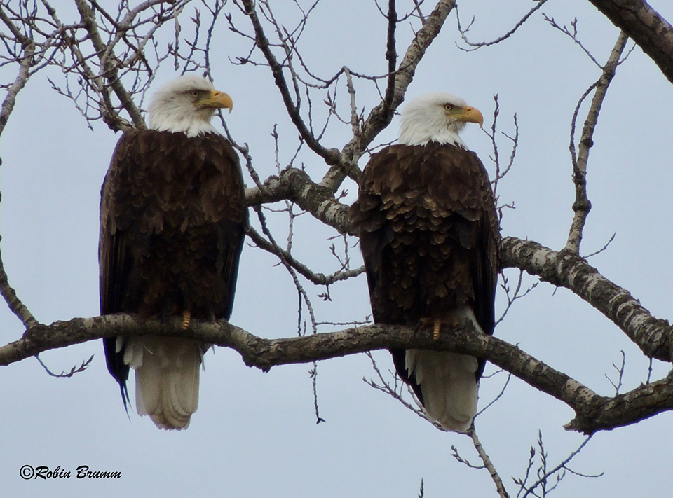 March 3, 2022: Mom and DM2. Photo by Robin Brumm