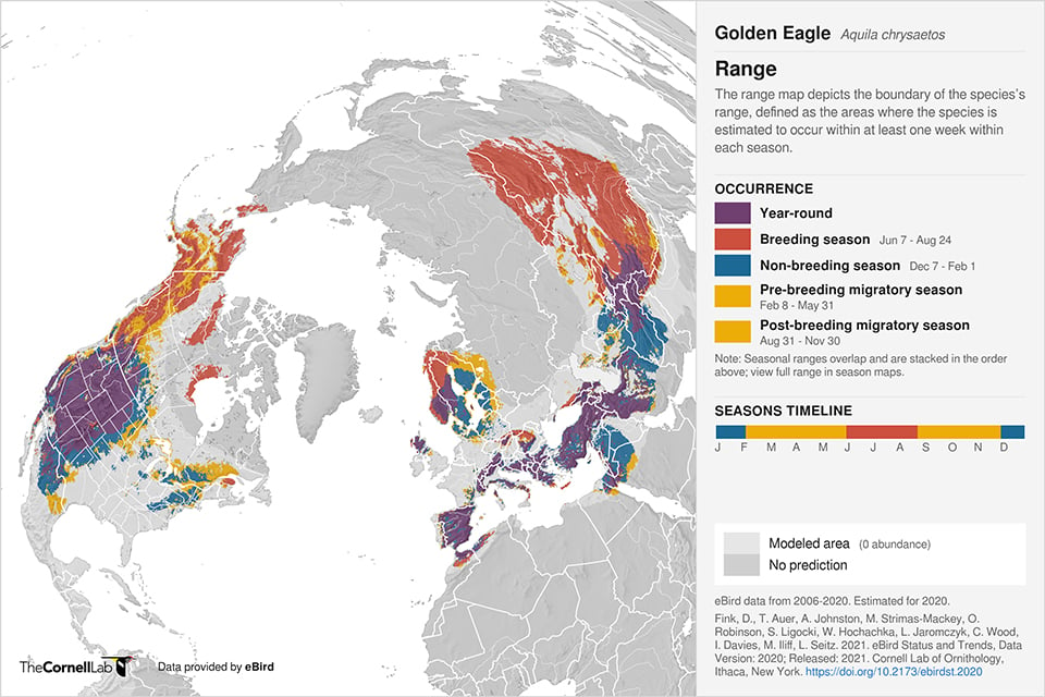 Golden Eagle range map. Map generate by eBird.org