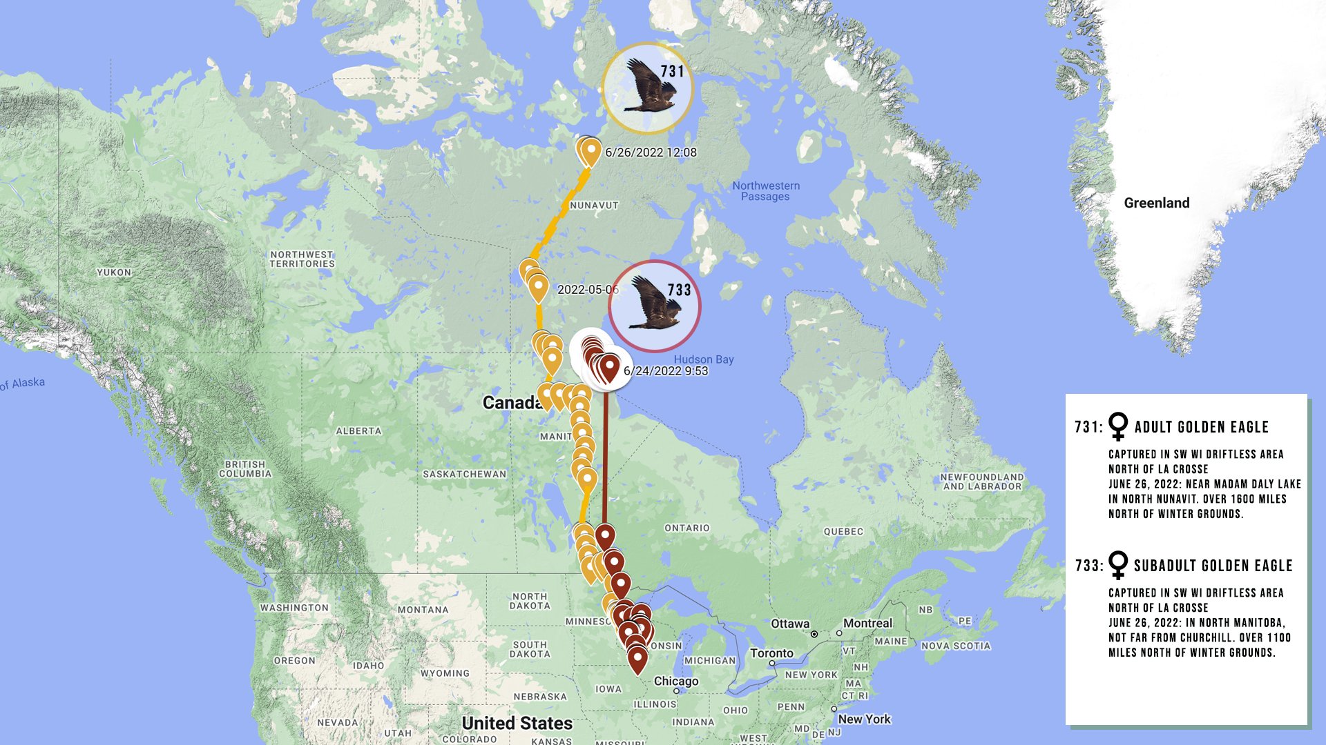 July 29, 2022: Golden Eagle Map