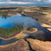 Welcome to the Hudson's Bay Plains! Photo by Garth Lenz: https://thenarwhal.ca/ring-of-fire-ontario-peatlands-carbon-climate/