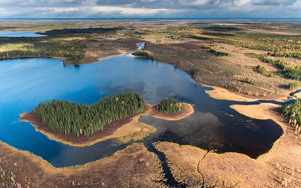 Welcome to the Hudson's Bay Plains! Photo by Garth Lenz: https://thenarwhal.ca/ring-of-fire-ontario-peatlands-carbon-climate/