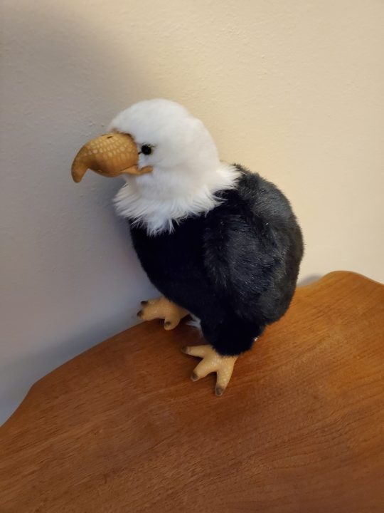 Cuddle with a Bald Eagle! - or at least a Bald Eagle plushie!