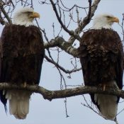 A Day Trip to Decorah with Robin Brumm, Mom and DM2