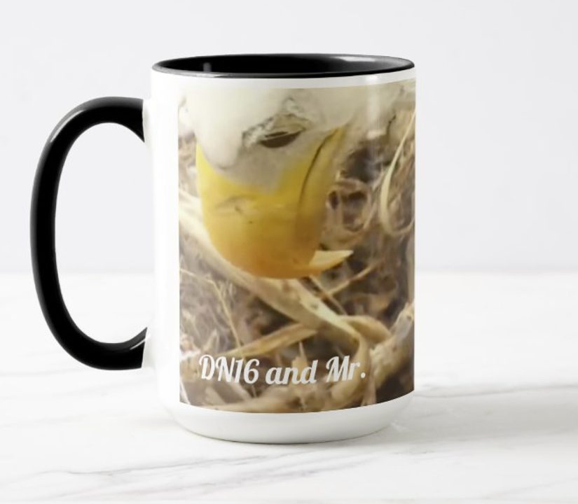 Sunset Dreamer's Hug Mug with DN16 and Mr. North