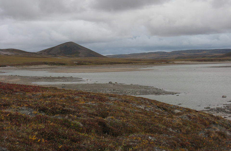 What 731 and 733 might see. No full sized trees are found north of the Southern Arctic tree line.