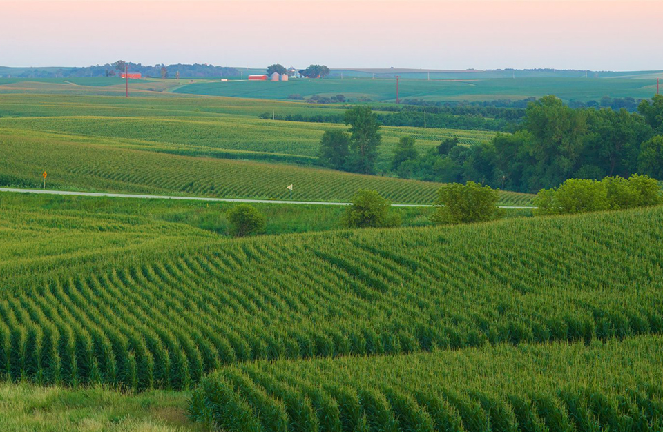 What D36 might see: a patchwork of fields, farm, and forest in NE Iowa.