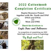 2022 Cottonwood Certificate