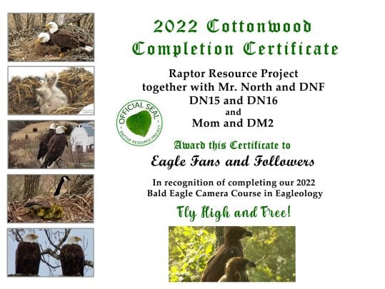 2022 Cottonwood Certificate