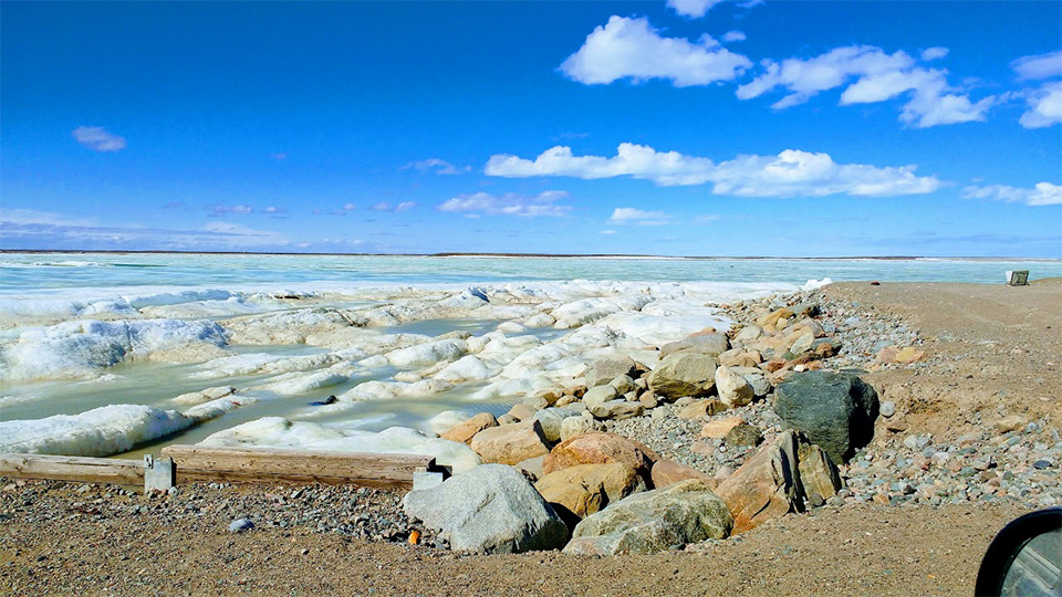 hore of Hudson's Bay, Nunavut. Photo by Mike Verrier. I can't get over the difference between 733's summer and winter ranges!