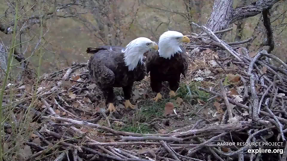 October 12, 2022: DNF (left) and Mr. North (right).