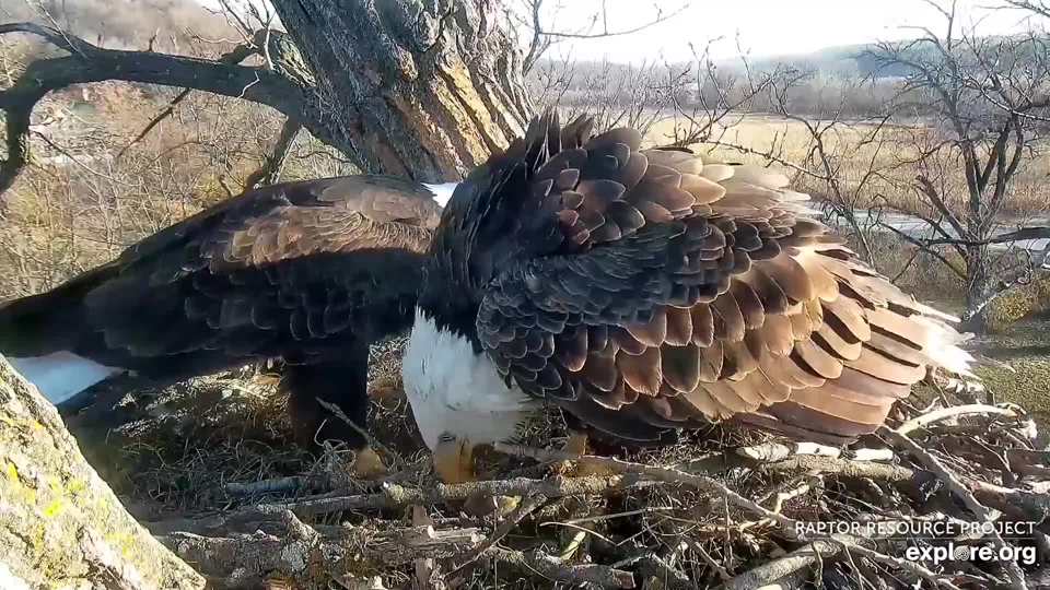 November 2, 2022: HD does not want to share his fish!