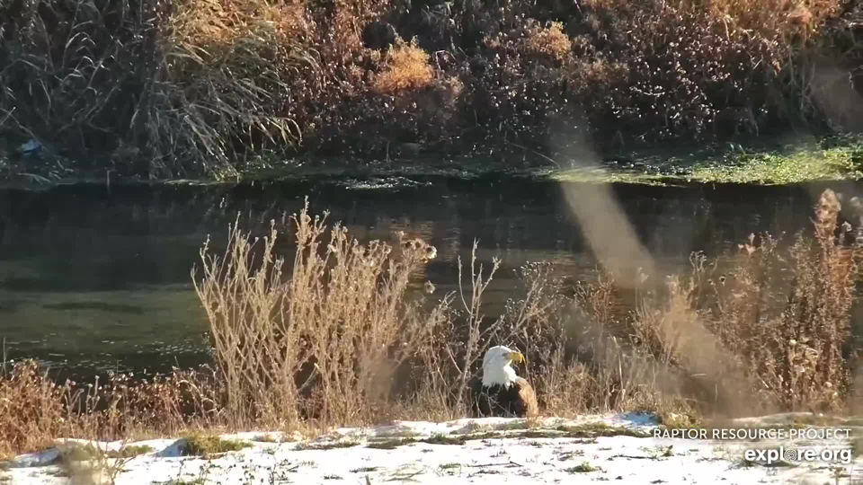 November 21, 2022: Mr North goes fishing...and swimming!