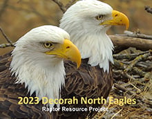 Decorah North Eagles Calendar