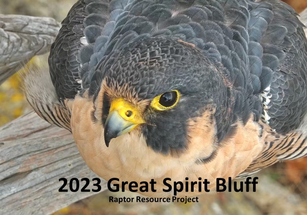 The cover for the 2023 Great Spirit Bluff calendar. Look for it soon!