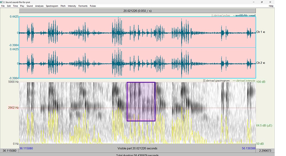 Final duet: chirps, call and response, harmonizing